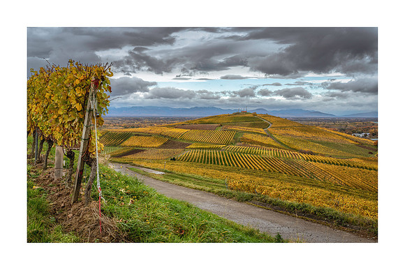 220116 - Autumn In Sasbach