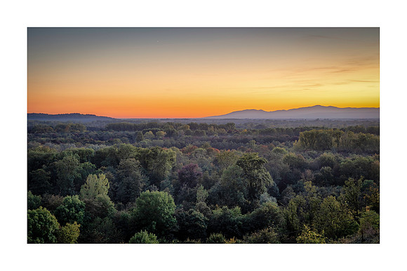 220107 - Looking Towards Alsace From Sasbach