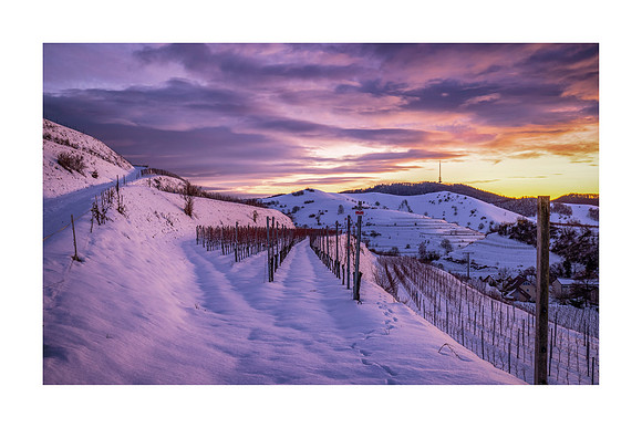 210501 - Schelingen Snow