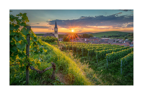210802 - Oberrotweil
