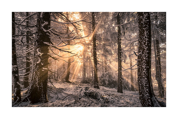Hornisgrinde