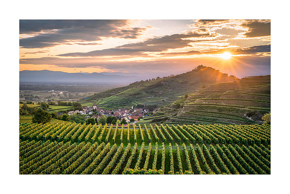 210903 - Achkarren Schloßberg Sunset