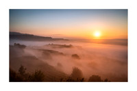 211012 - Misty Ihringen Morning