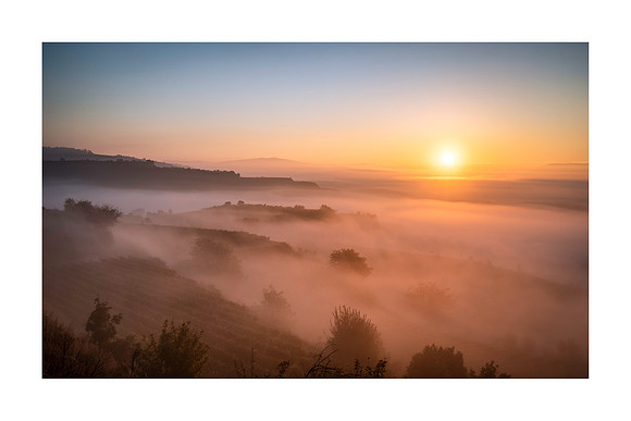 211012 - Misty Ihringen Morning