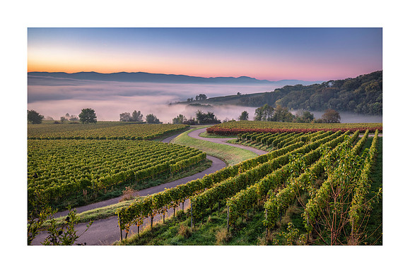 211011 - Eichstetten Morning