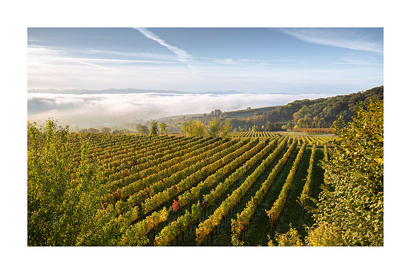 240117 - Autumn Fog Over Eichstetten