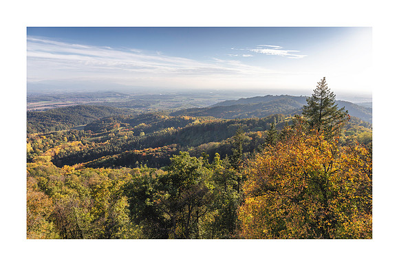 240122 - Lilliantal From Neunlindenturm