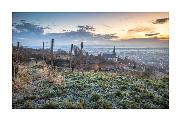 240127 - Frosty Bahlingen