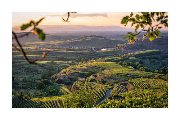 200602 - Vogtsburg