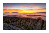 201202 - Botzingen Mist