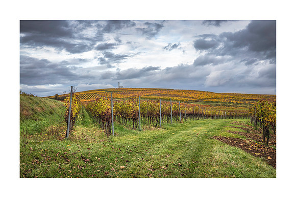 220117 - Autumn In Leiselheim