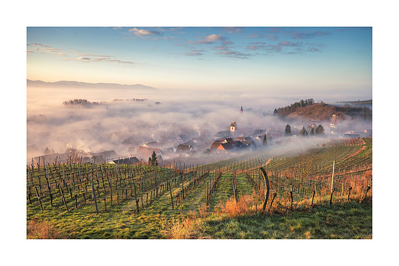 220304 - Misty Bötzingen