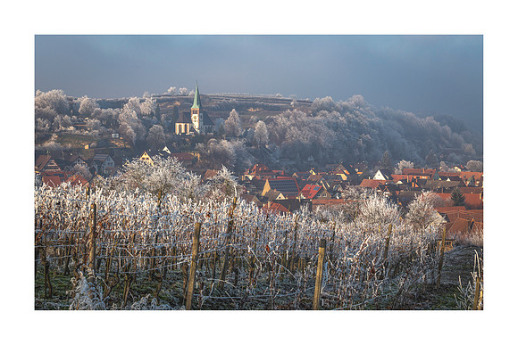 220114 - Bahlingen Frosty Morning