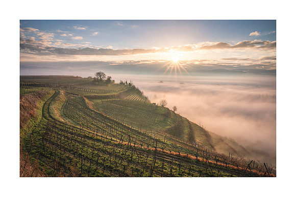 220303 - Misty Bötzingen